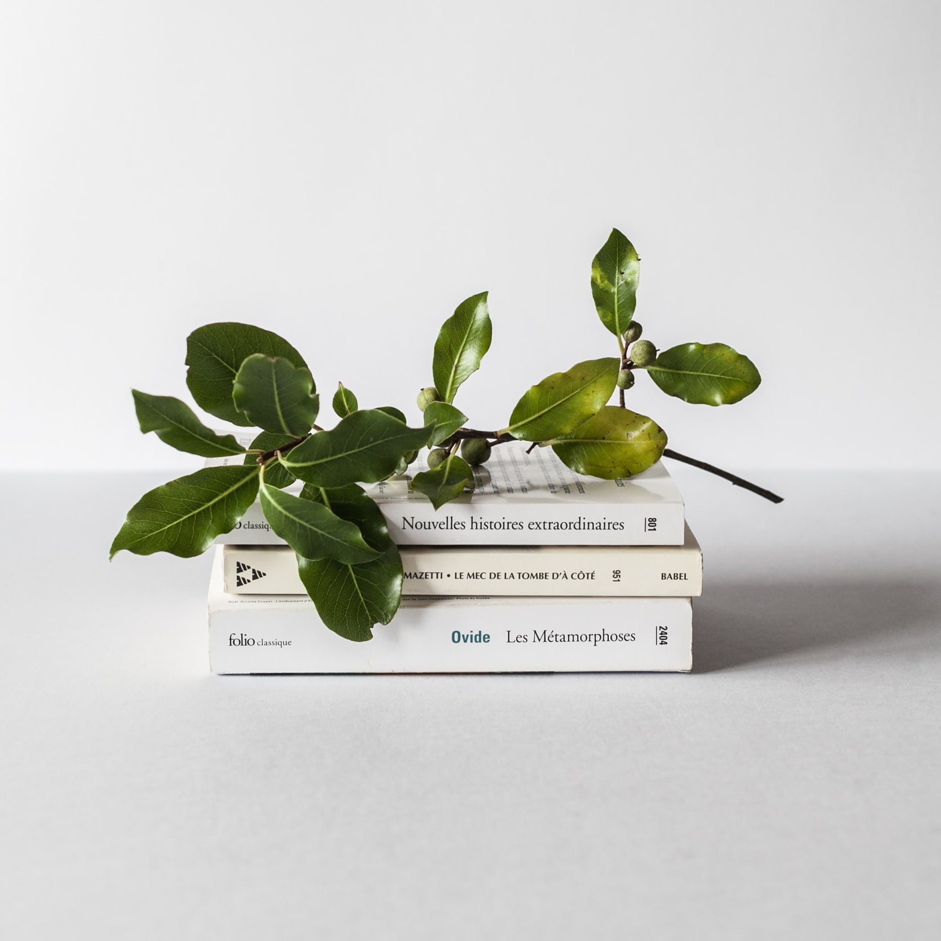 Recomendamos Estes Livros para Jovens Designers