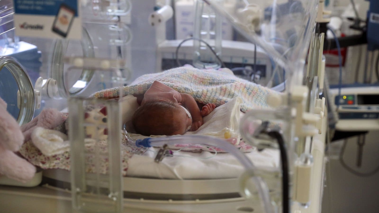 Relatório da ONU destaca maus tratos durante o parto nos Balcãs Ocidentais