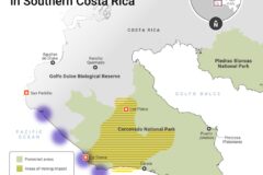 Cocaine and Gold: The Battle to Protect Costa Ricas Corcovado National Park