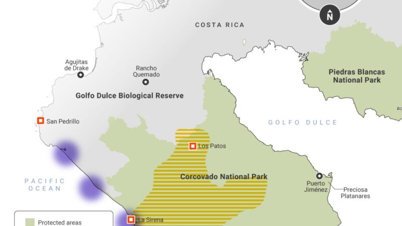 Cocaine and Gold: The Battle to Protect Costa Ricas Corcovado National Park