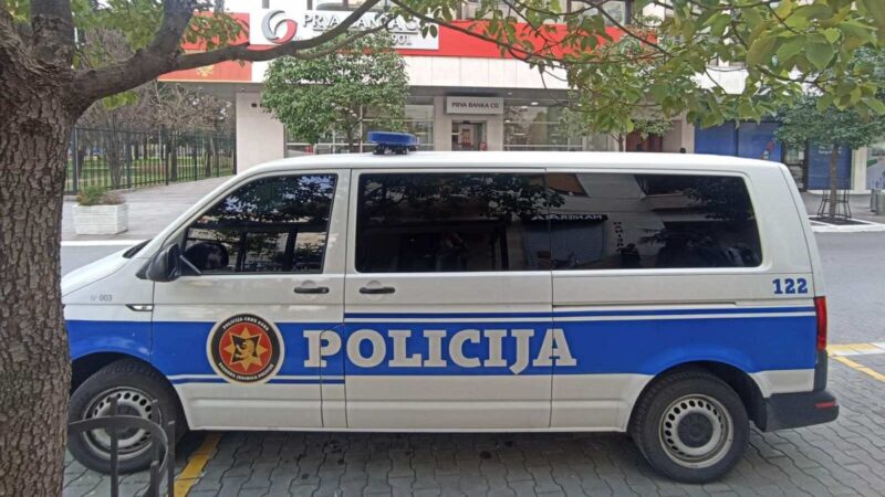 Irmão do ex-presidente montenegrino sob custódia por esconderijo ilegal de armas