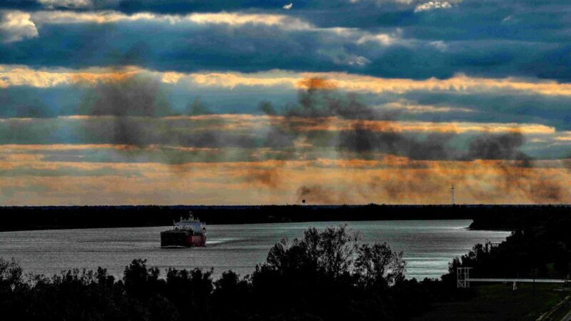 Restaure o legado do Dia da Terra