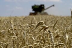 Parentes por trás da empresa russa de drones estão envolvidos no comércio “ilegal” de trigo